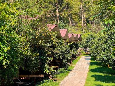 Olympos Camlık Pension
