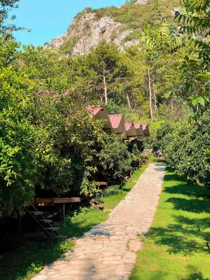Olympos Camlık Pension - Pensions
