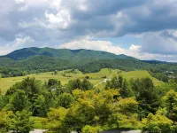 Historic manor house on working farm with pool and sauna 10 minutes from VA Tech