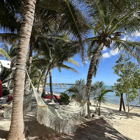 Alea Tulum
