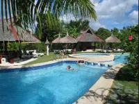 Dolphin House Resort Moalboal - Rooftop Pools