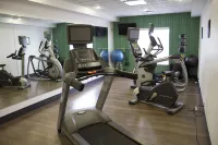 Holiday Inn Express & Suites PARKERSBURG - MINERAL WELLS by IHG - С тренажерным залом