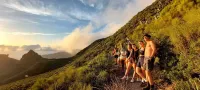Arena Nest Hostel Hotels in Los Gigantes