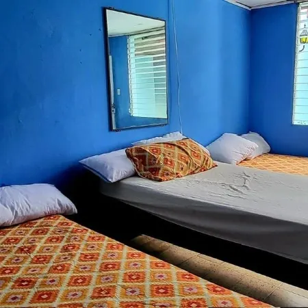 Hostal Cisne House Отели в г. Леон
