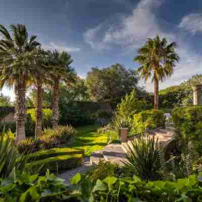 Casa Las Palmas & Suites, San Miguel de Allende Hotel Exterior