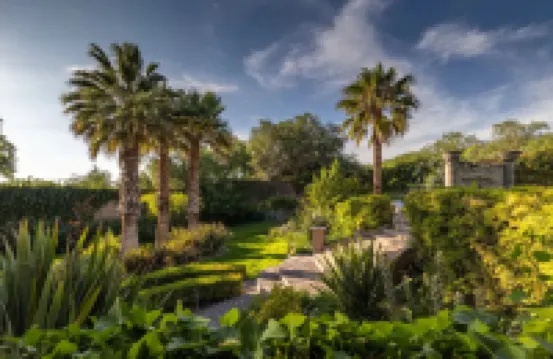 Casa Las Palmas & Suites, San Miguel de Allende