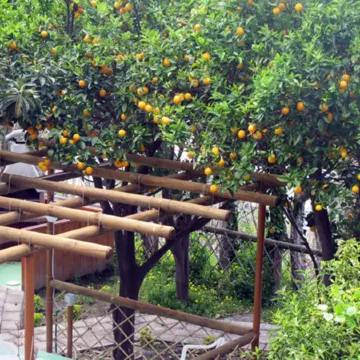 Aparthotel Villa Marinù