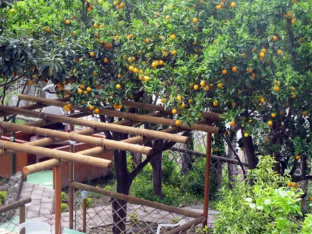 Aparthotel Villa Marinù