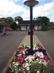 蒙大拿汽車旅館
