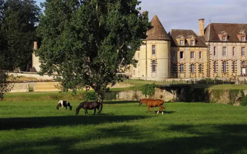 Château de La Rivière - parking