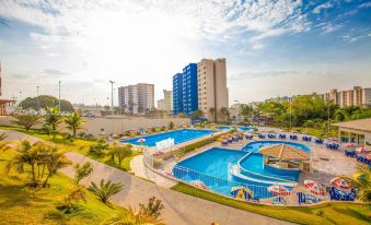 Golden Dolphin Express