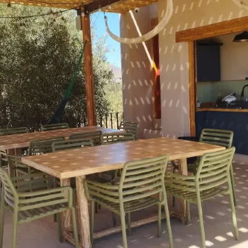 Alma Liebre Viñedos del Valle