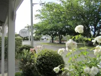 Arendon Cottage - Tiny houses