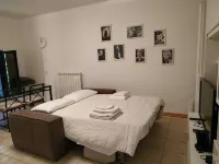 B&B Villa Delle Palme Hotels in Mirandola