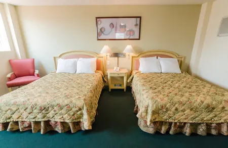 Hotel San Francisco Irapuato Business Class