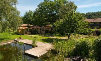 Hotel du Lac Foix