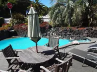 Marlin Court Motel, Paihia - Pools