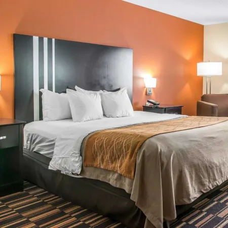 Comfort Inn Maumee - Perrysburg Area