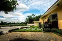 Nok Resort & Hotel Hotels in Pa Miang