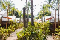 La Cocoteraie Ecolodge Gili Trawangan - Homestays