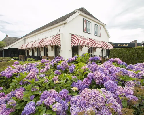 Hotel Restaurant Eeserhof Hotels in Ees