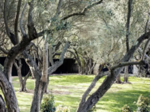 Bdesign & Spa Hotels in Paradou