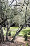 Bdesign & Spa Hotels in Les Baux-de-Provence