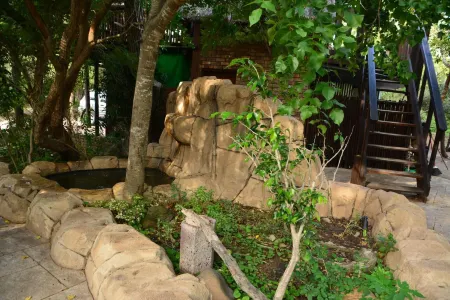 Jabula Kruger Safari Lodge