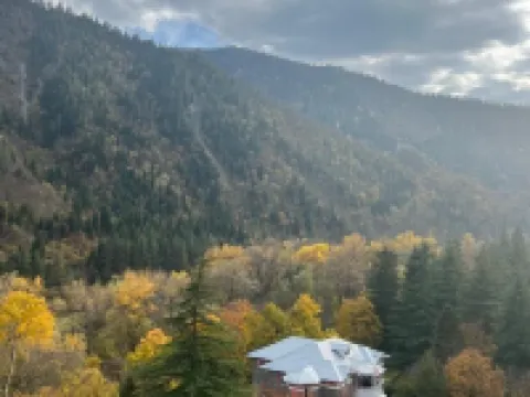 Borjomi Likani Health & Spa Centre Hotels in Borjomi