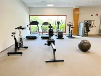 Apartamentos Cordial Mogán Valle - Gym