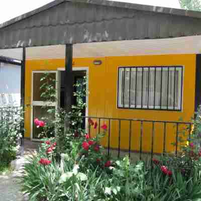 Bungalows Alpha Hotel Exterior