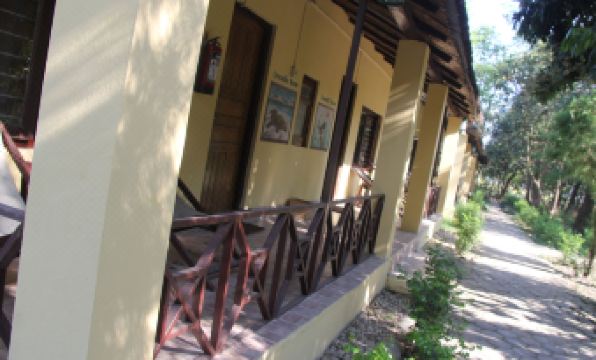 Rhino Lodge Bardia Pvt Ltd