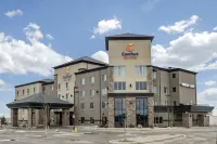 Comfort Suites  호텔