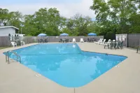 Blue Dolphin Inn - Pools