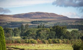 Kilmaronock Manse B&B