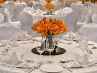 Golden Sarovar Portico Hotels near Narula's Mall