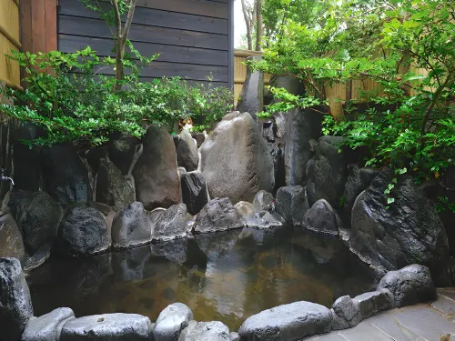 Yufuin Onsen Bessou Furusato - Spa