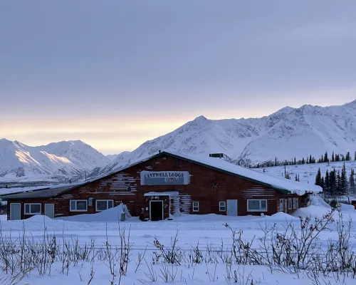 Cantwell Cabins Hotels in Denali