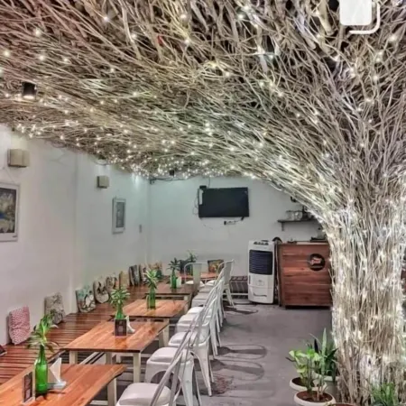 Seed Resort