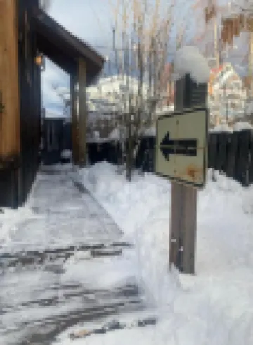 Located in Downtown Whitehorse - Treehouse