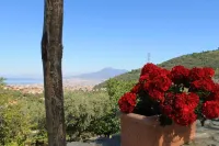 Agriturismo B&B Casa Scola - con vista montagne