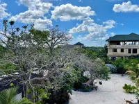 Baobab Bungalows Các khách sạn ở 