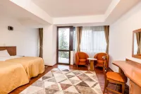 Hotel Cindrel Hotels in Saliste