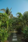Hidden Wave Hotels near Embarcadero Cocalito