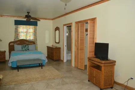 EPR- Swimming Pigs Resort Seagrape 6