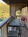 Updated, Beautiful Views, Walk to Slopes & Village