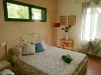 Private house with garden 100 meters from the sea - CITRA code 008065-LT-0050