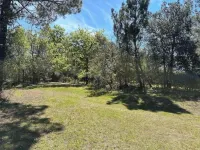 Vaste Villa au Coeur de la Pinède Hotels in Les Mathes