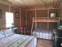 Pet friendly Camping cabin  close to Buffalo River Hotels in Searcy County