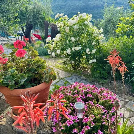 Casa Belvedere
